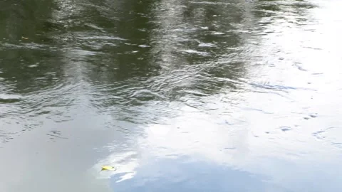 Whirlpools on the river 4K Stock-Footage 292833313