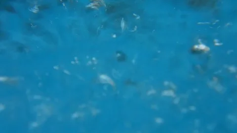 Whirlwind of bubbles and bubbling in a blue liquid Stock Footage 109289657