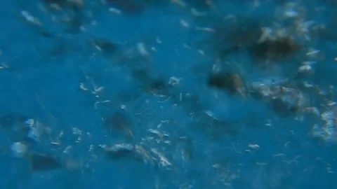 Whirlwind of bubbles and bubbling in a dark blue liquid Video stock 109290024