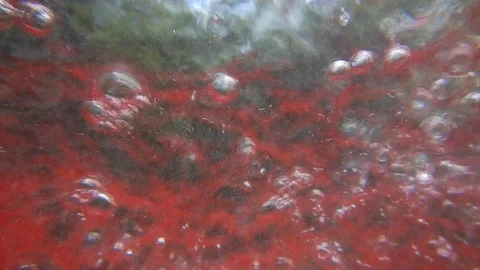 Whirlwind of bubbles and bubbling in a dark red liquid Video stock 109290574
