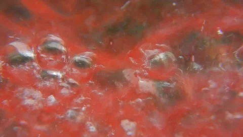 Whirlwind of bubbles and bubbling in a red liquid Stock Footage 109290037