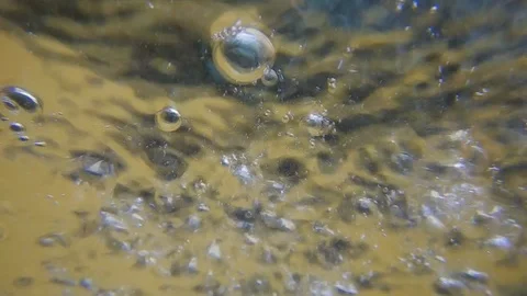 Whirlwind of bubbles and bubbling in a yellow green liquid Stock Footage 109290499