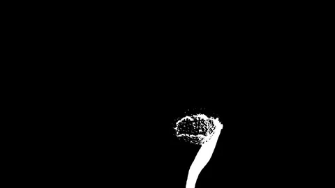 Whirlwind of liquid like juice on white background. Beautiful colored paint is Stock Footage