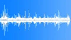 Whiskered Tern CU Calls Sound Effect
