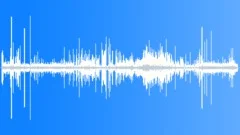 Whiskered Tern CU Calls Sound Effect
