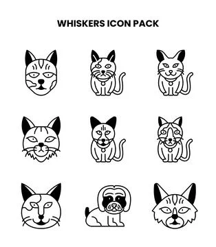 Whiskers DuoTone Bundle Icons Pack Stock Illustration