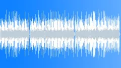 Whiskey And Friends (Upbeat, Southern Rock) Stock Music