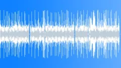 Whiskey And Friends (Upbeat, Southern Rock) - DnBStock Music