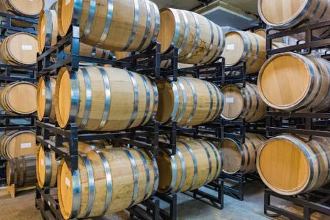 Whiskey barrels in a cellar Stock Photos