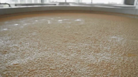Whiskey Fermentation Stock Footage 240028239