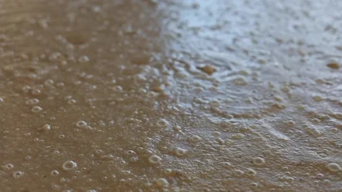 Whiskey Fermentation Stock Footage 240028241