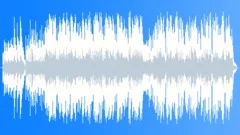 Whiskey in the Jar (50-secs version)Stock Music