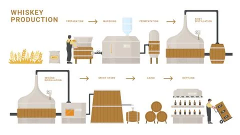 Whiskey production infographic process vector illustration, cartoon flat info Stock Illustration