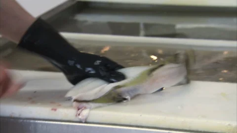 A whisking machine Stock Footage 88038014