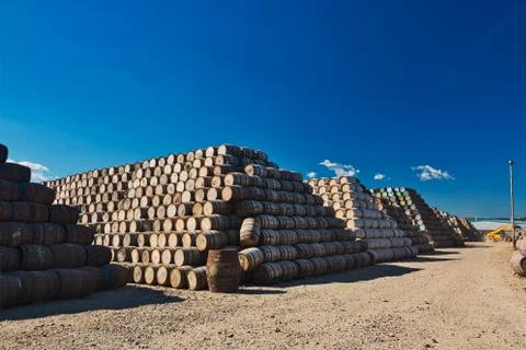 Whisky casks Stock Photos
