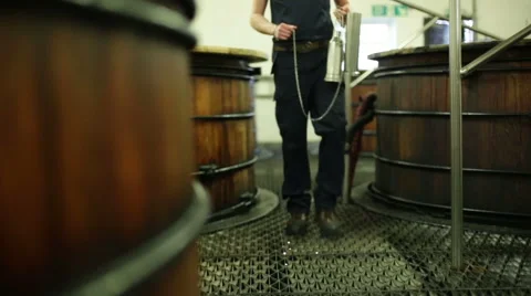 Whisky worker testing fermentation process Stock Footage 58627186