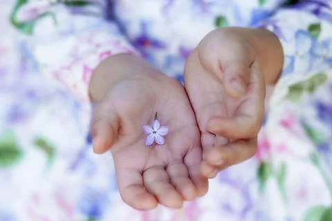 Whisper of Spring Stock Photos