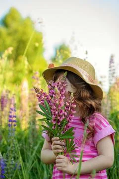 Whisper of Spring Foto stock