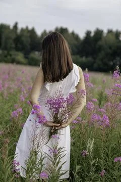 Whispering Blossoms Stock Photos