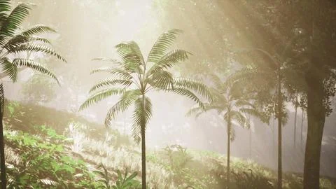 Whispering Canopy, A Serene Symphony of Trees Nestled in the Verdant Grass Stock Illustration