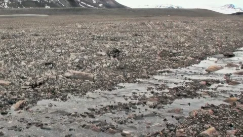 Whispering Currents Flow Across Svalbard's Desolate Arctic Expanse Stock Footage 340484705