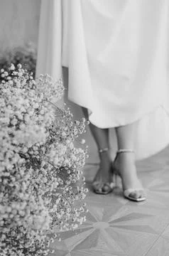 Whispering Elegance Stock-Fotos