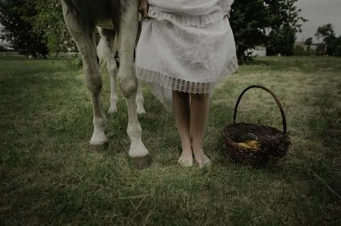 Whispering Meadows Фото