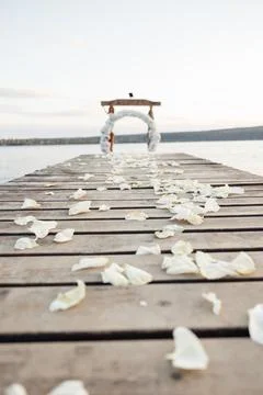 Whispering petals trace a path on weathered wood Stockfoto's