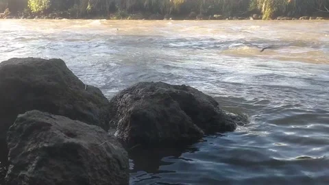 The Whispering River 動画素材 335081408