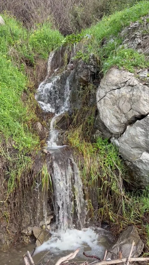 Whispering Stream Stock Footage 328869999