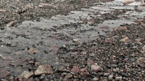 Whispering Waters Flow Across Arctic Svalbard's Rocky Expanse Stock Footage 338201304