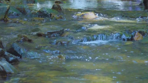 Whispering Waters: A Stream's Gentle Flow Stock Footage 282724143