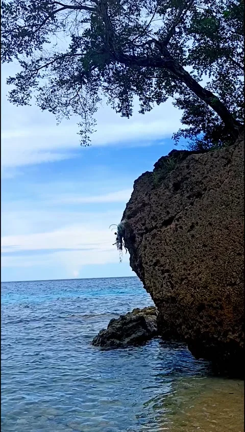 Whispering Waves Video stock 204967834