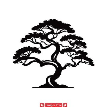 Whispering Woods  Juniper Tree Vector Set for Tranquil Landscapes Stock Illustration