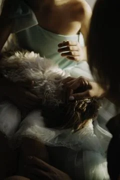 Whispers of Affection Stock-Fotos