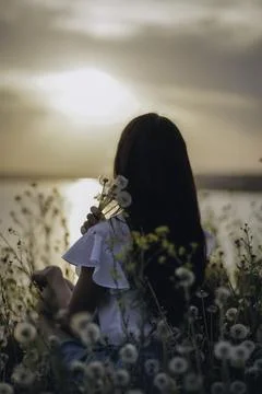 Whispers of Dusk Stock Photos