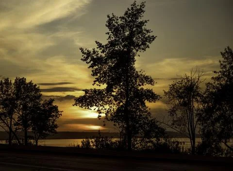 Whispers of Dusk Stock Photos