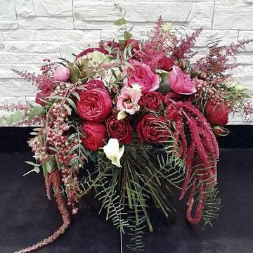 Whispers of Elegance Stock-Fotos