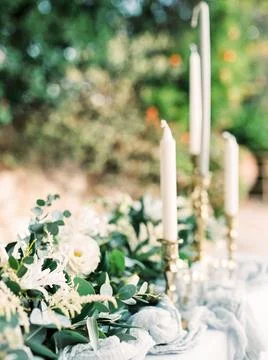 Whispers of Elegance 스톡 사진