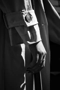 Whispers of Elegance Foto stock