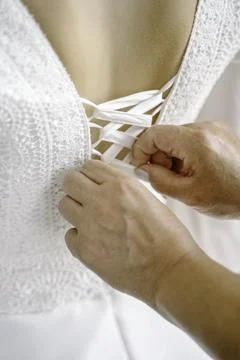 Whispers of Elegance 스톡 사진