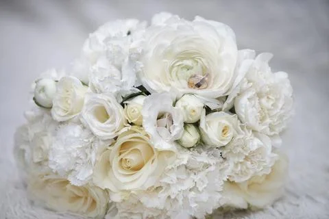 Whispers of Elegance Foto stock