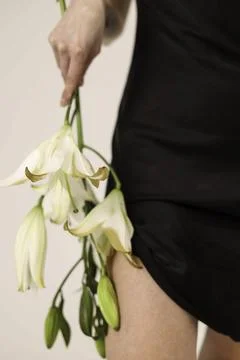Whispers of Elegance Stock Photos