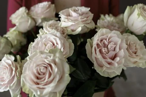 Whispers of Elegance Stock Photos