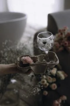 Whispers of Elegance Stock Photos