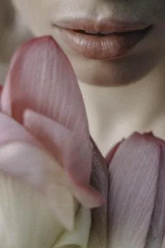 Whispers of Elegance Stock Photos