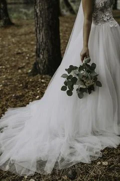 Whispers of Elegance Stock Photos