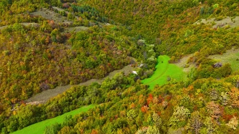 Whispers of the Emerald Hills Stock Footage 312479608