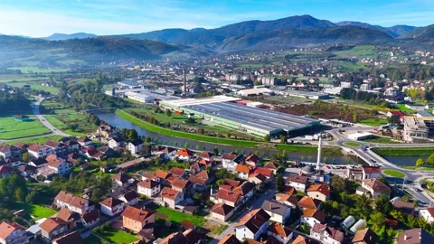 Whispers of the Forest Stock Footage 312079904