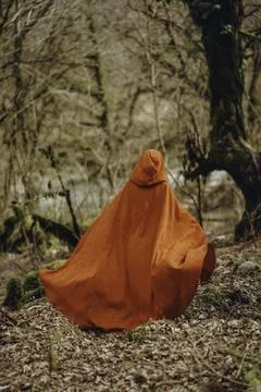 Whispers of the Forest Foto stock